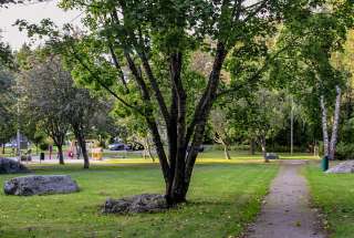 Aaltoparken