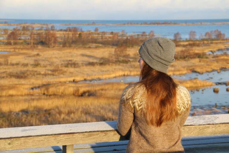 Pipopäinen henkilö katsoo Saltkaretin näkötornista avautuvaa moreenimaisemaa.