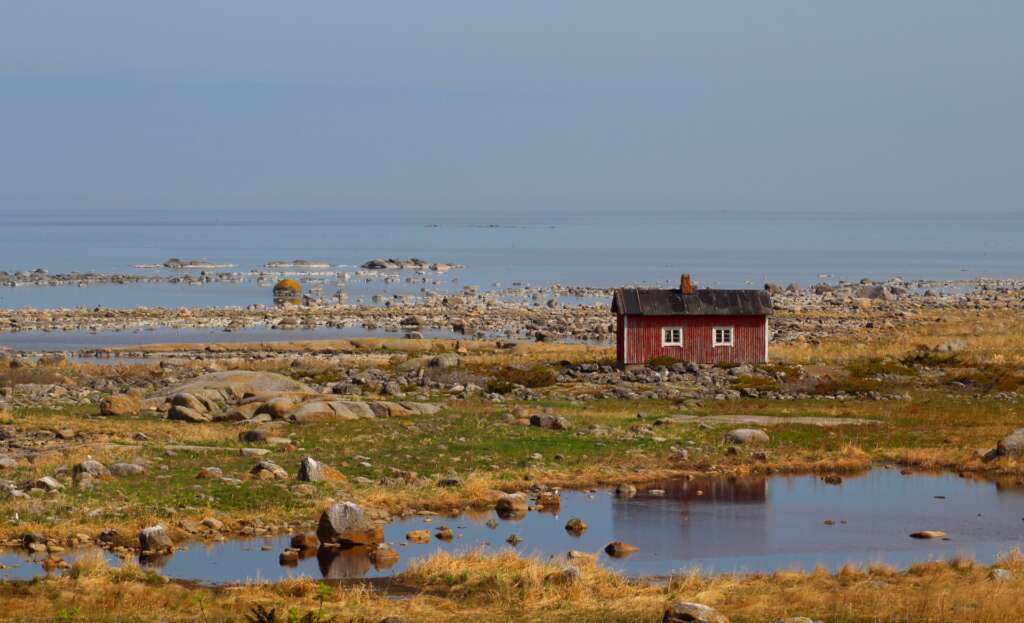 Röd fiskebastu i stenig Norrskär.