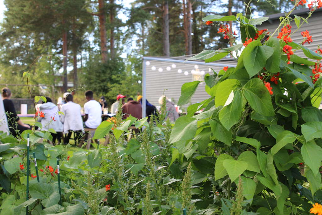 Vegetables growing in a cultivation box in the foreground with a group of people sitting at a long garden table in the background.