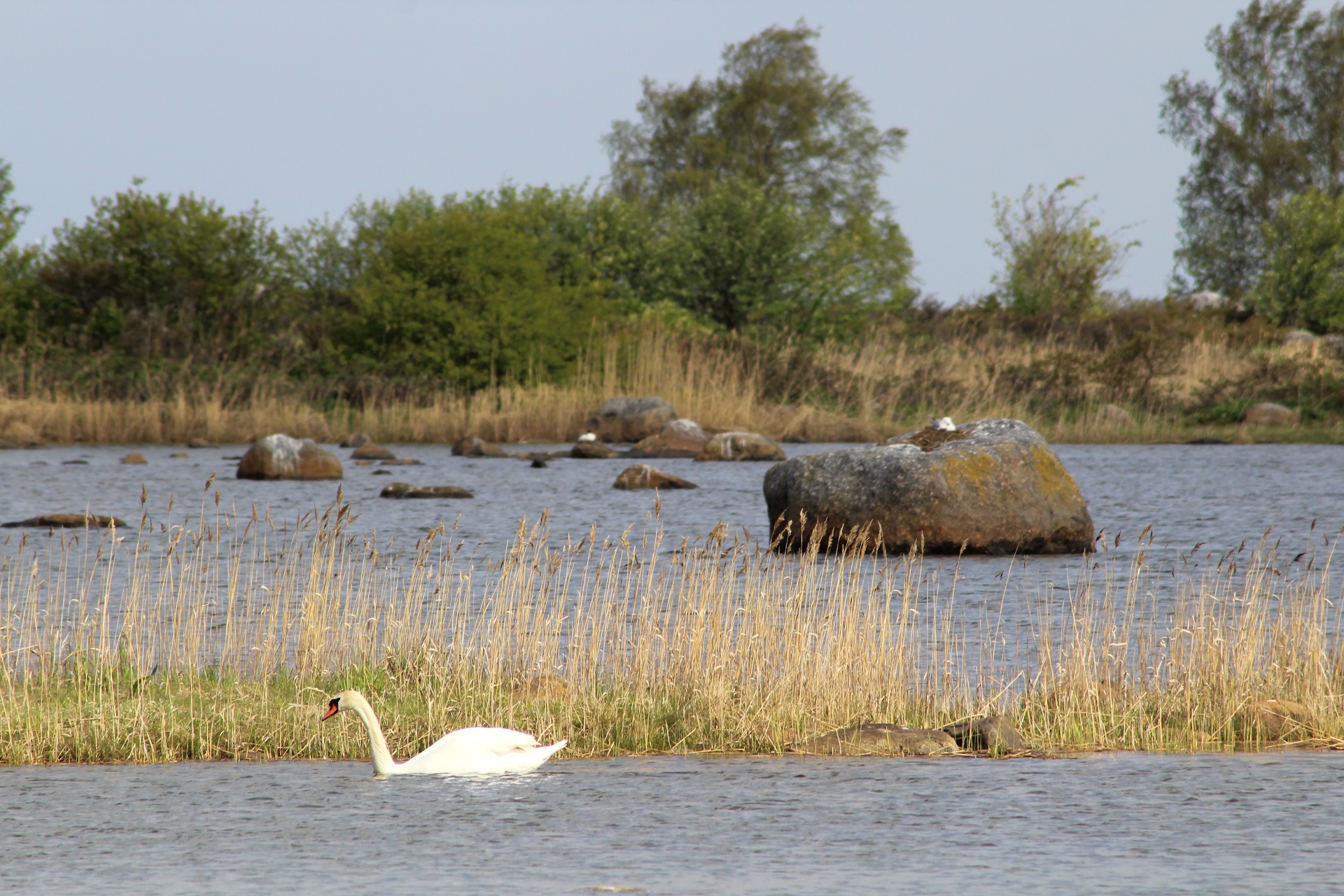 The Kvarken Archipelago World Heritage Site | Vaasa