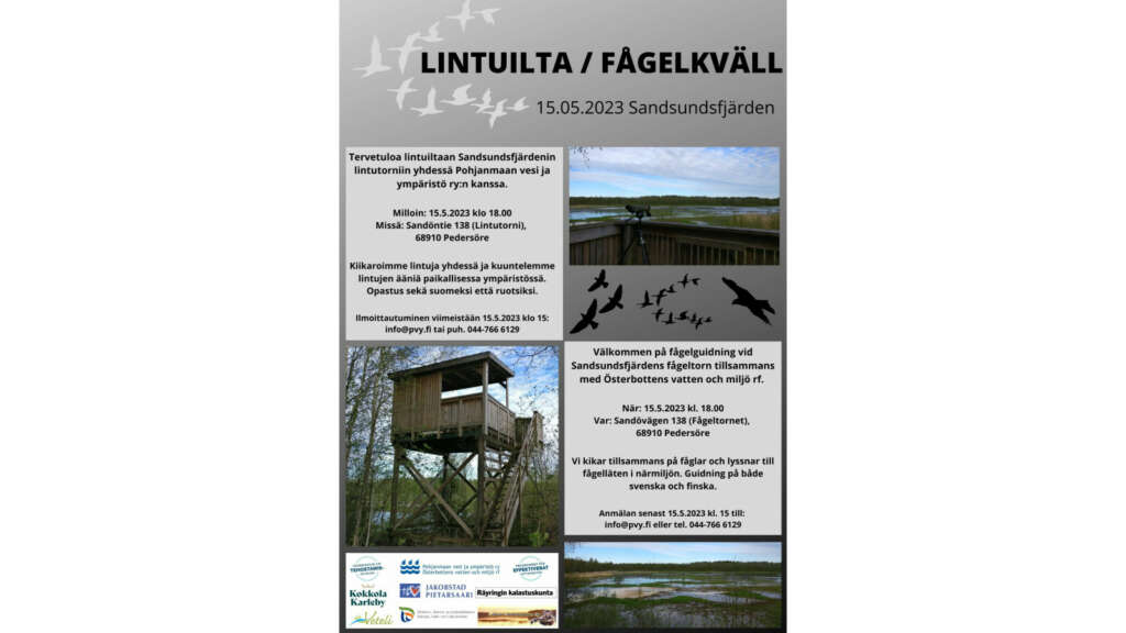 Lintuilta Sandsundsfjärdenin lintutornilla | Vaasa