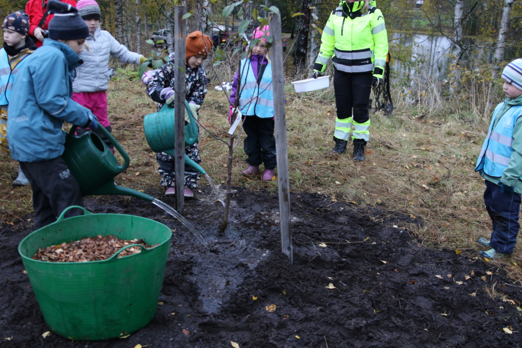 Kaksi lasta kastelee juuri istutettua puuntaimea suuret kastelukannut käsissään. Muut lapset sekä yksi aikuinen katselee vieressä. Kaikki lapset ovat pukeutuneet lämpimiin, säänkestäviin varusteisiin. Taustalla näkyy syksyinen metsä ja järvi.